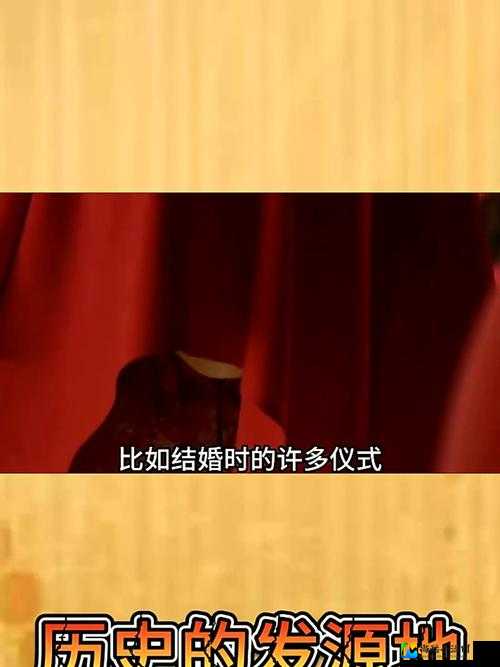 闺房调教新婚之夜SM：一段关于爱与责任的特别仪式