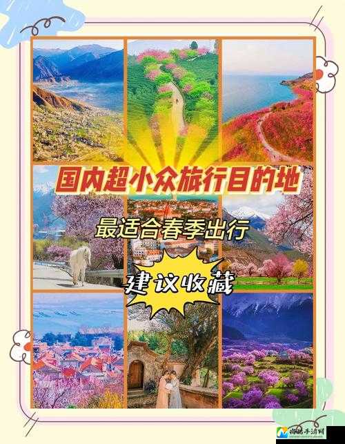 WWW豆花视频com带火的小众旅行地，年轻人的社交新坐标！