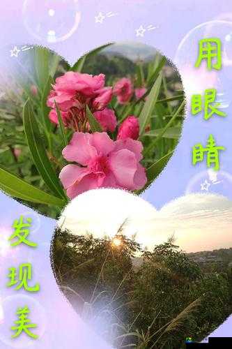 免费看裸体网站豆花：健康与沉迷的边界，豆花的隐喻与现代人的心灵守护