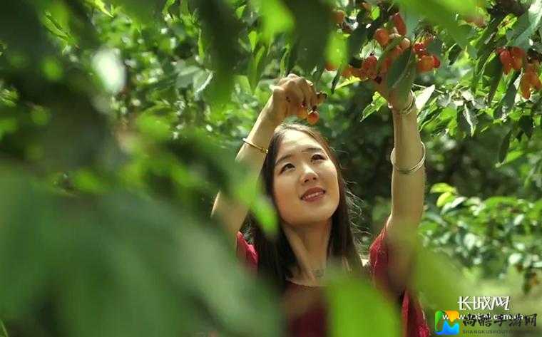 18🍆🍑🔞无直套樱桃视频爆火！揭秘Z世代年轻人如何用视频表达情感