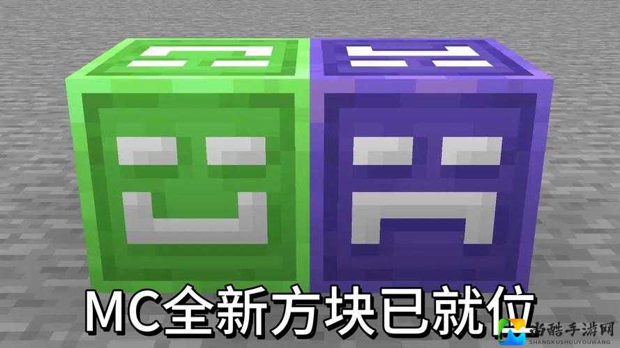 我的世界方块秒变高阶造型！手残党必存的神级转换攻略来了