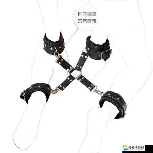 当“贱奴的sm”成为社交现象：高调教背后的自我救赎之路