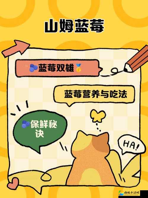 18k835mb蓝莓的社交密码：当我们开始认真对待社交焦虑