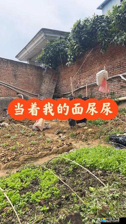 男男玩弄小屁股菊眼张开含尿事件引发热议：社会现象背后的真相揭秘