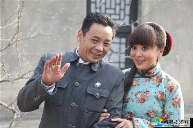 米脂婆姨电视剧全集观看：从陕北故事看女性力量与代际传承