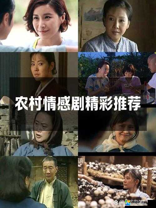 国产农村题材为何引发热议？乡村故事背后的现实与温情